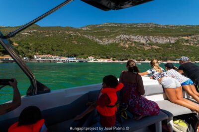 Dolphin Watching Boat Tour