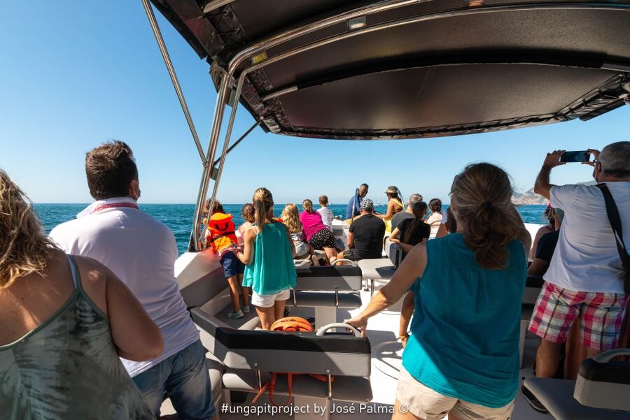 Setúbal: Dolphin Watching Boat Tour - Meeting Points in Lisbon District, Two Options That Work