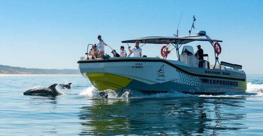 Setúbal: Dolphin Watching Boat Tour - Dolphin Etiquette: Why This Feels Respectful, Not Chaotic