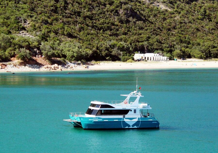 Setúbal: Dolphin Watching Tour - A Catamaran Built for Seeing, Not Just Riding