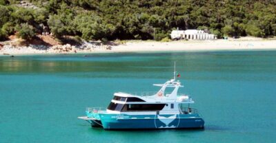 Dolphin Watching Tour