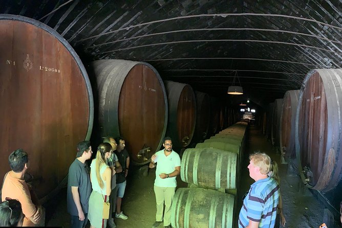 Setúbal Wine Tour with Visit and Tasting at 2 Wineries - Adega de Palmela cooperative stop for local variety