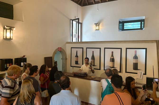Setúbal Wine Tour with Visit and Tasting at 2 Wineries - Should you book this tour or not?