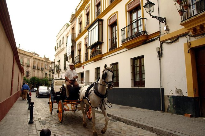 Seville Day Trip from the Algarve - Santa Cruz at walking speed: your best use of the free time