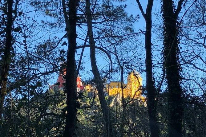 Sintra Cabo da Roca Cascais Estoril Private Tour - The big idea: why this day trip feels efficient, not rushed