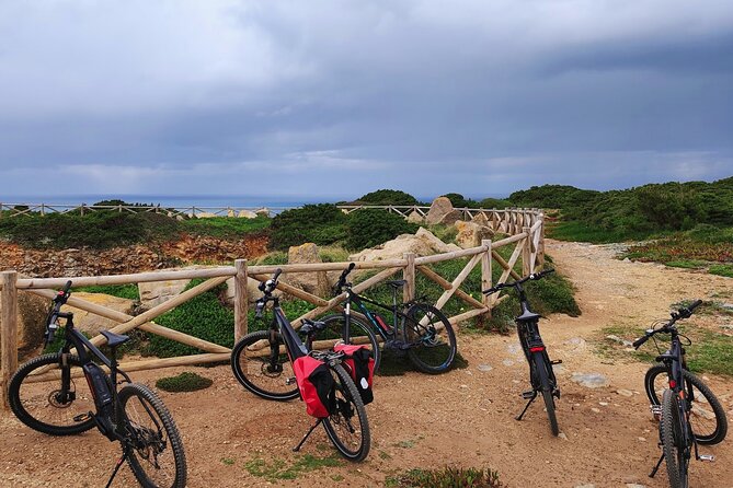 Sintra & Cascais de E-Bike Tour - A Second Sintra Stop in the Natural Park for Tree Shade and Big Views