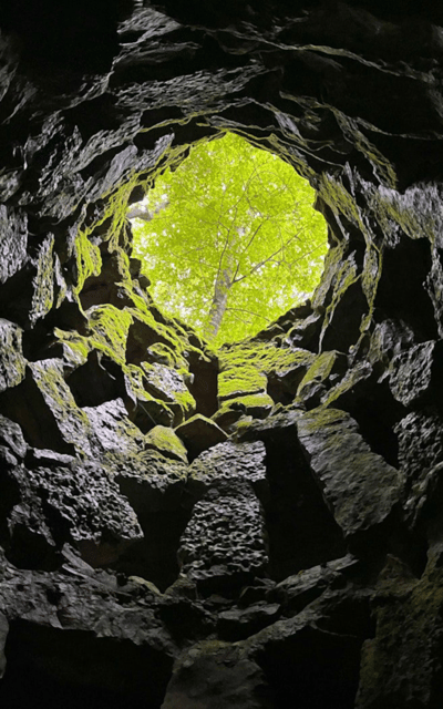 Sintra: Quinta da Regaleira Skip-the-Line Ticket - The Initiation Well, the palace mood, and the garden details that make it feel magical
