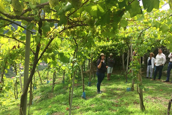 Skywalk with Wines Tasting and Vineyards Half day 4x4 Adventure - The 4x4 ride to São Vicente: bumpy roads, big views