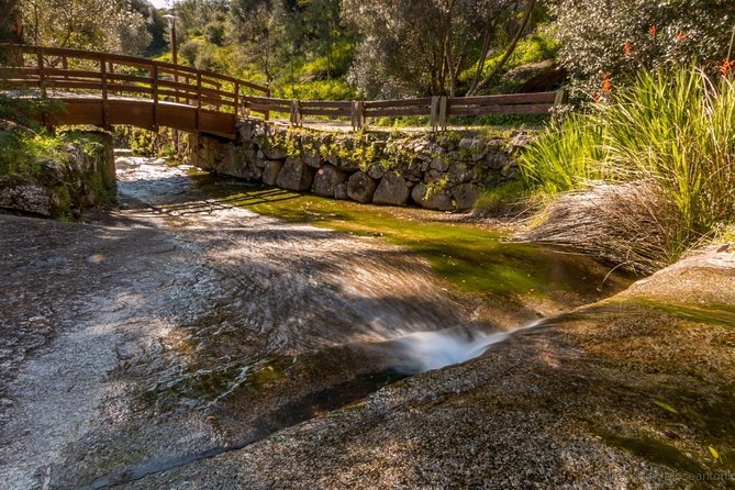 Small-Group Day Tour of Silves and Monchique with Wine Tasting - Quinta Do Frances winery and a wine tasting that feels worth it