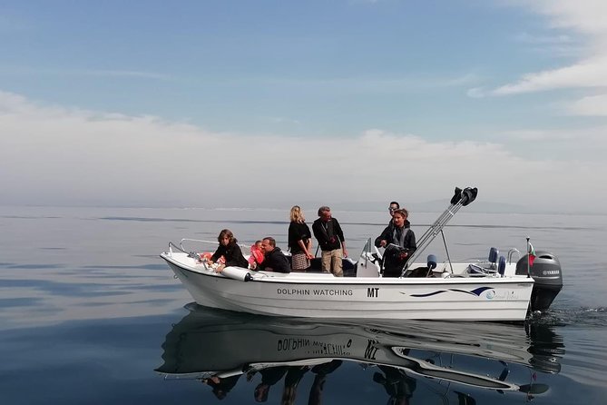 Small Group Dolphin and Wildlife Watching Tour in Faro - Key Highlights You’ll Feel on the Water