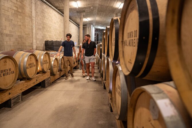 Small Group Douro Valley Wine Tour with Lunch and Cruise - Free Porto Walking Tour Add-On After Your Douro Day