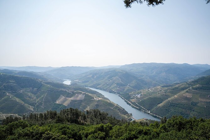 Small Group Douro Valley Wine Tour with Lunch and Cruise - Price and Value: Is $119.42 a Good Deal?