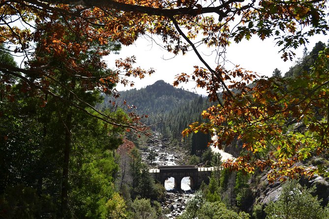 Small Group Geres National Park Full Day with picnic from Porto - The guide experience: why English-speaking locals matter here
