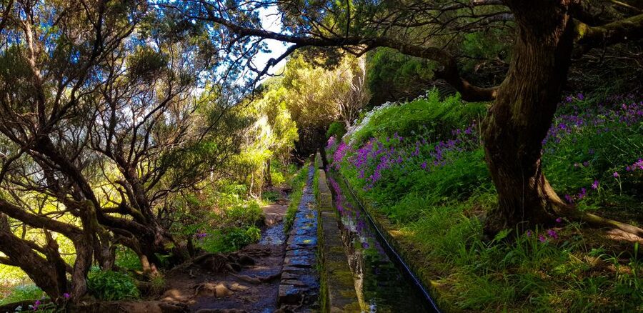 Small Group Walks Rabaçal 25 Fontes - Step-by-step: what you do on the Rabaçal 25 Fontes walk