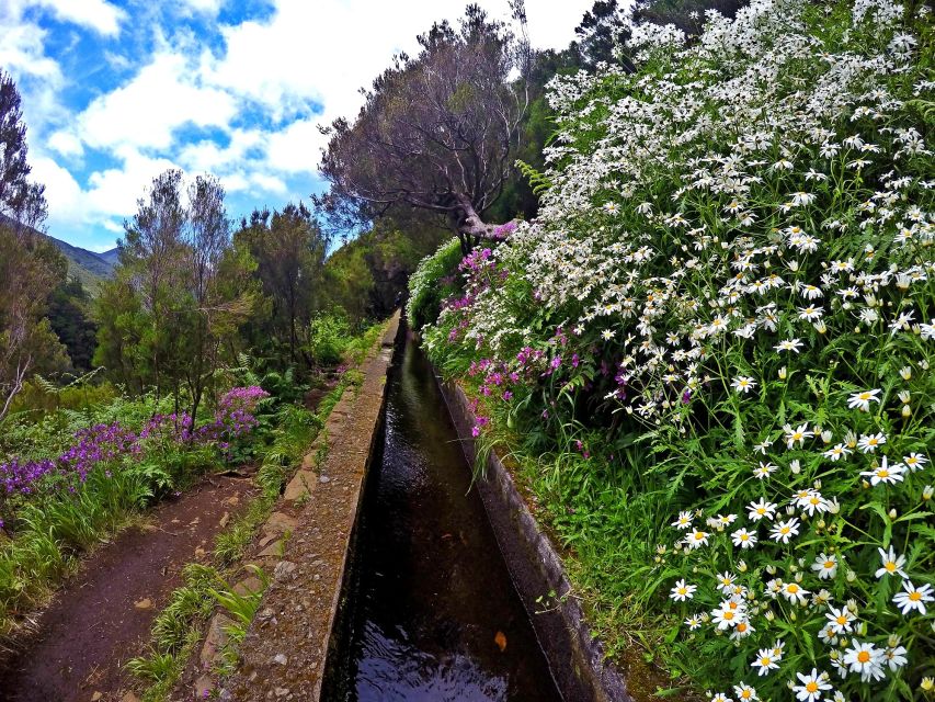 Small Group Walks Rabaçal 25 Fontes - What to wear: this is a wet-trail walk