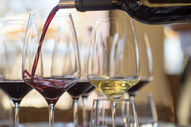 Small group Wine Tasting Tour from Lagos - So, is it worth it? A balanced decision guide