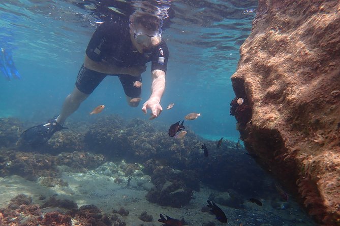 Snorkeling Tour - Your Guides, Matias and Sherlock: The Human and the Portuguese Water Dog Touch
