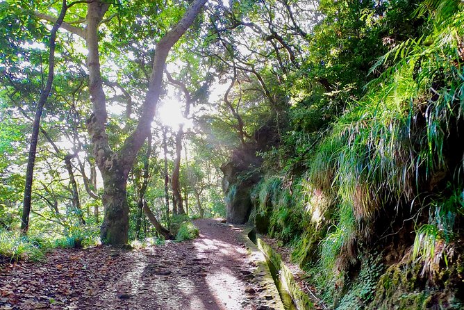 Sunrise Tour @ Pico Do Areiro | Half Day 4x4 Tour - Weather Plan B: How the Tour Doesn’t Fall Apart