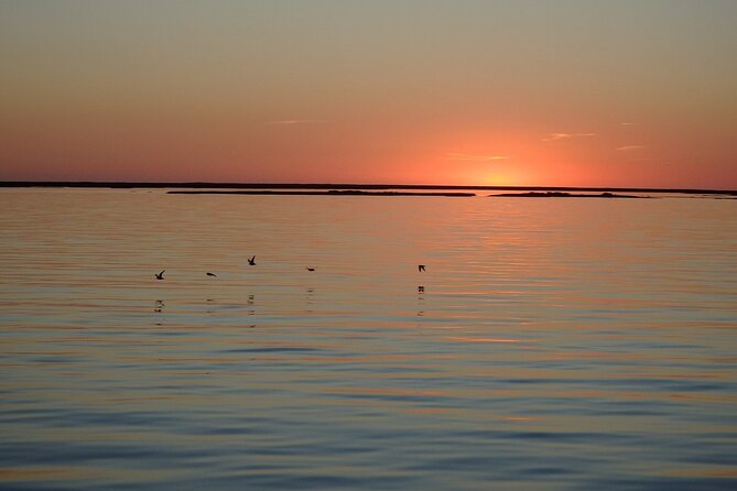 Sunset Tour | Ria Formosa - From Faro - Price and value: what $30.23 buys you