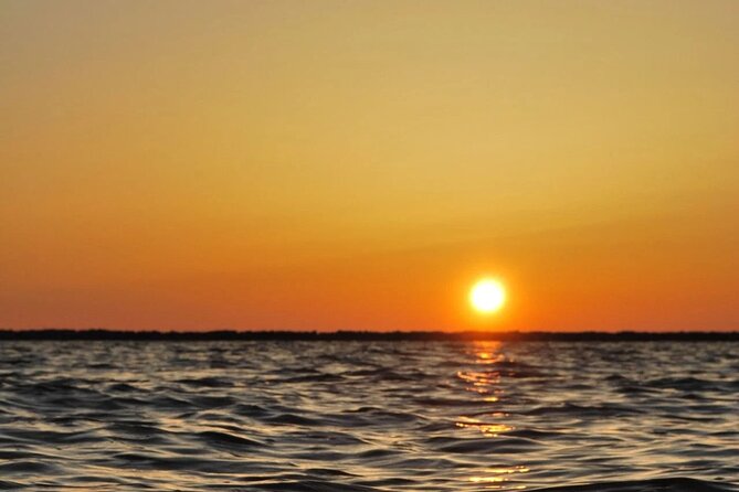 Sunset Tour | Ria Formosa - From Faro - Who this sunset tour is best for