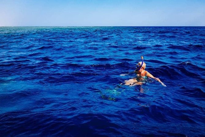 Swim with Wild Dolphins in the Azores - Ponta Delgada departure, small-group pacing, and what the 2.5 hours covers
