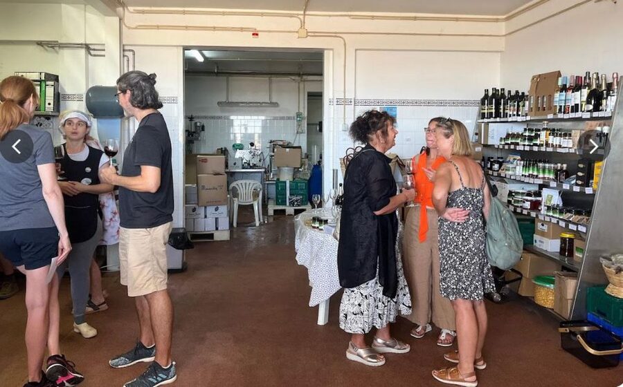 Tavira: Olive Factory Tour and Tasting - Wine tasting and drink options that keep it flexible