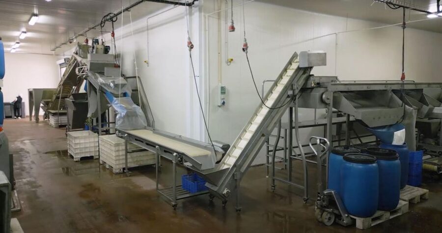 Tavira: Olive Factory Tour and Tasting - Shopping time: take the best flavors home