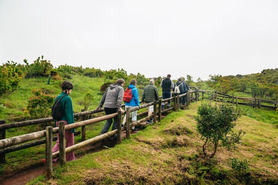 Terceira: Algar do Carvão Lava Caves Tour - Key Things That Make This Tour Worth Your Time