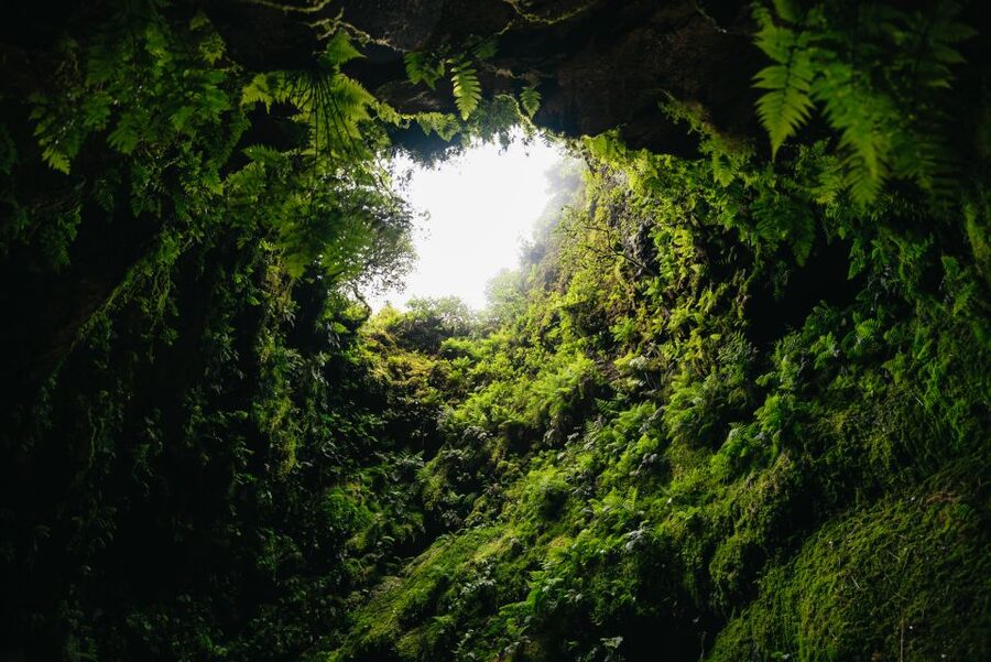 Terceira: Algar do Carvão Lava Caves Tour - Gruta do Natal and Other Cave Stops: How the Day Gets Variety
