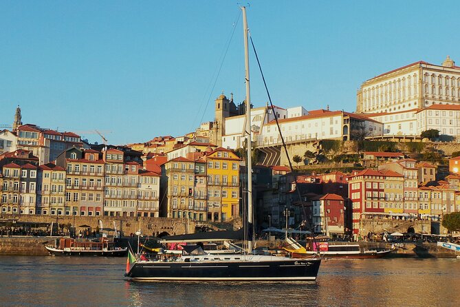 The Best Douro Boat Tour - Douro Marina to the Ribeira: What You Actually See on the First Pass