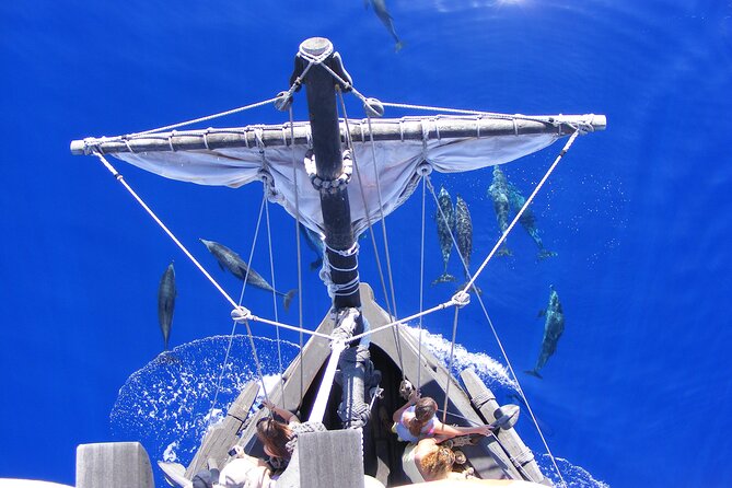 Time Travel on Columbus Replica Flag Ship in Madeira - The swim stop in summer months, and what to bring