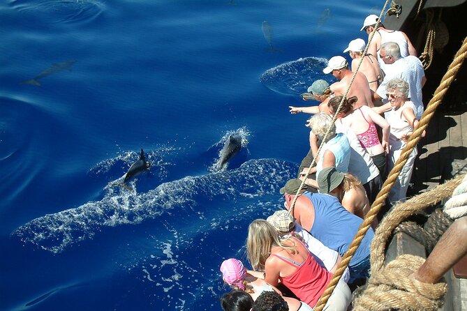 Time Travel on Columbus Replica Flag Ship in Madeira - The south coast route, with dolphins or whales as the headline
