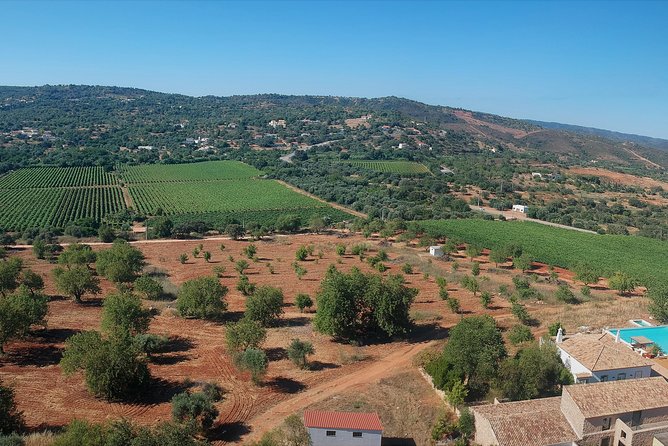 Tour & Wine tasting - Authentic Algarve Flavours by Quinta da Tôr - Key highlights you should care about
