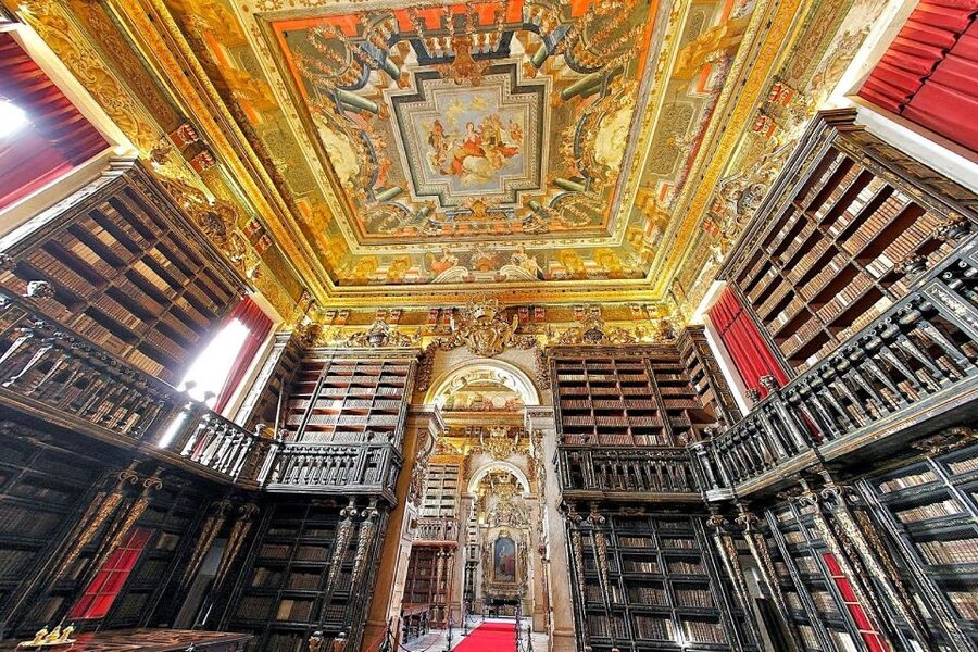 University of Coimbra Walking Tour - Key Points I’d Highlight Before You Go