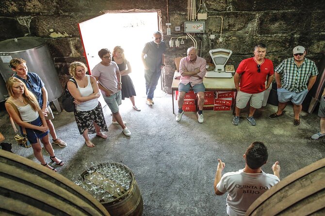 VALE DOURO, Premium Wine Tour, Wine Lunch, Private Boat - Lunch on a farm with wine pairings (and why it feels worth it)