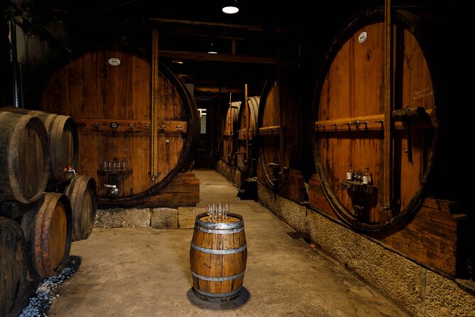 VALE DOURO, Premium Wine Tour, Wine Lunch, Private Boat - The second centenary winery and traditional production tastings