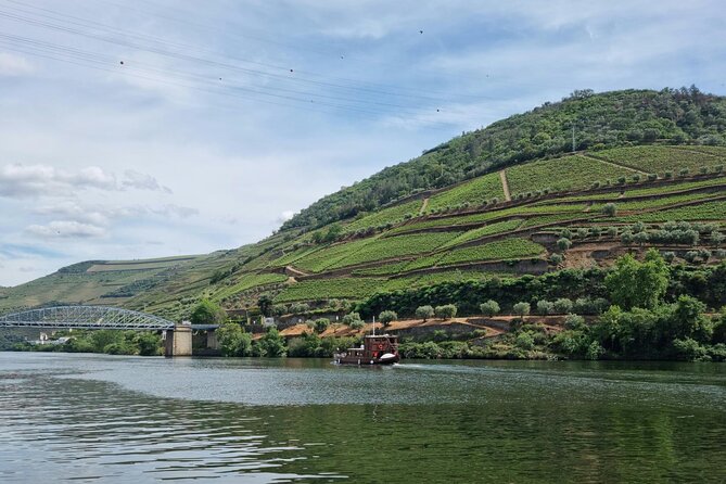 VALE DOURO, Premium Wine Tour, Wine Lunch, Private Boat - Photo stops, pacing, and the “long day” reality
