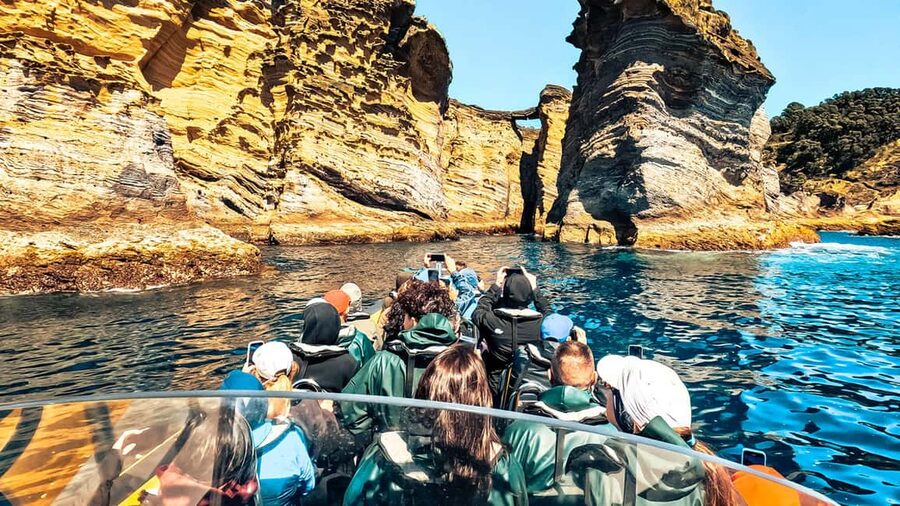 Vila Franca Islet: Bioligist Guided 0% Carbon e-Boat Tour - Key points
