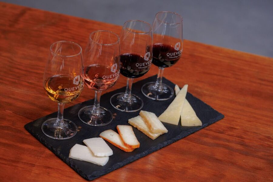 Vila Nova de Gaia: Port Wine Tasting with Cheese Pairing - Cheese pairings that go beyond taste: why these combos work