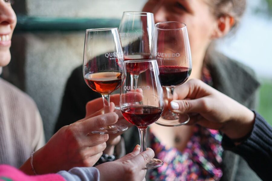 Vila Nova de Gaia: Port Wine Tasting with Cheese Pairing - Who this tasting is best for (and who might prefer something else)