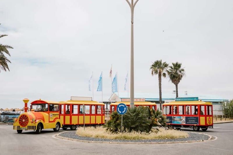 Vilamoura: Tourist Train City Tour - A 45-minute circuit that makes Vilamoura make sense