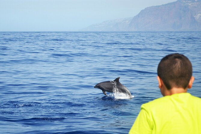 VipDolphins Luxury Whale Watching - Stop at Cabo Girão: the swim break that turns a cruise into a memory