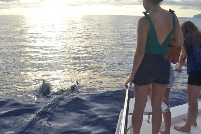 VipDolphins Luxury Whale Watching - What’s included on board, and what that means for your wallet