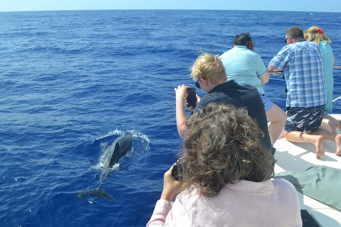 VipDolphins Luxury Whale Watching - Group size and comfort: why the boat matters as much as the sightings