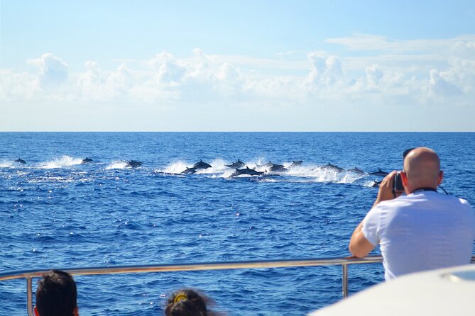 VipDolphins Luxury Whale Watching - The crew factor: friendly help and practical answers