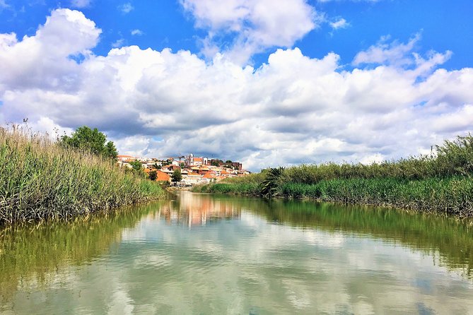 Visit Silves & Explore the Arade River | Eco-Friendly Solar Boat - Comfort, rules, and practical tips before you go