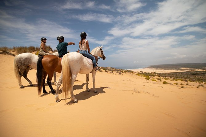 Welcome to Carrapateira Horse Riding Tour - Key highlights worth planning around