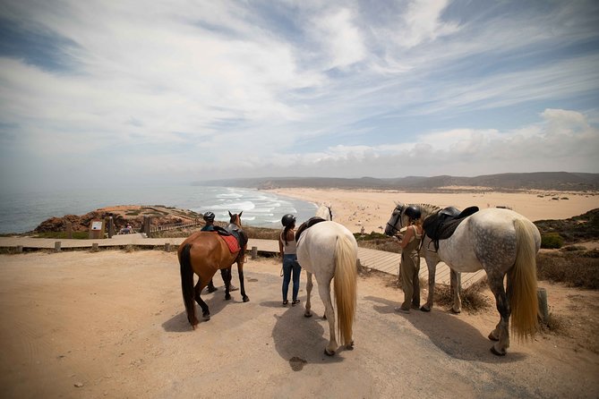 Welcome to Carrapateira Horse Riding Tour - A 1-hour ride that hits Algarve’s wild coastline