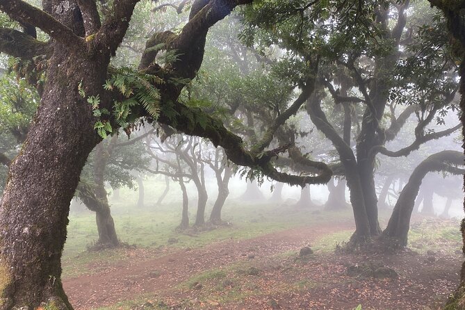West Side Private Full Day Tours around Madeira Island - Seixal coastal roads: potential roadside waterfalls and scenic driving