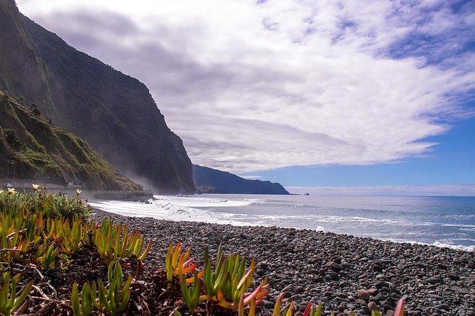 West Tour-Fanal Forest & Porto Moniz Natural Pools Small Groups - Ribeira Brava Farmers Market: A Real Taste of the South Coast